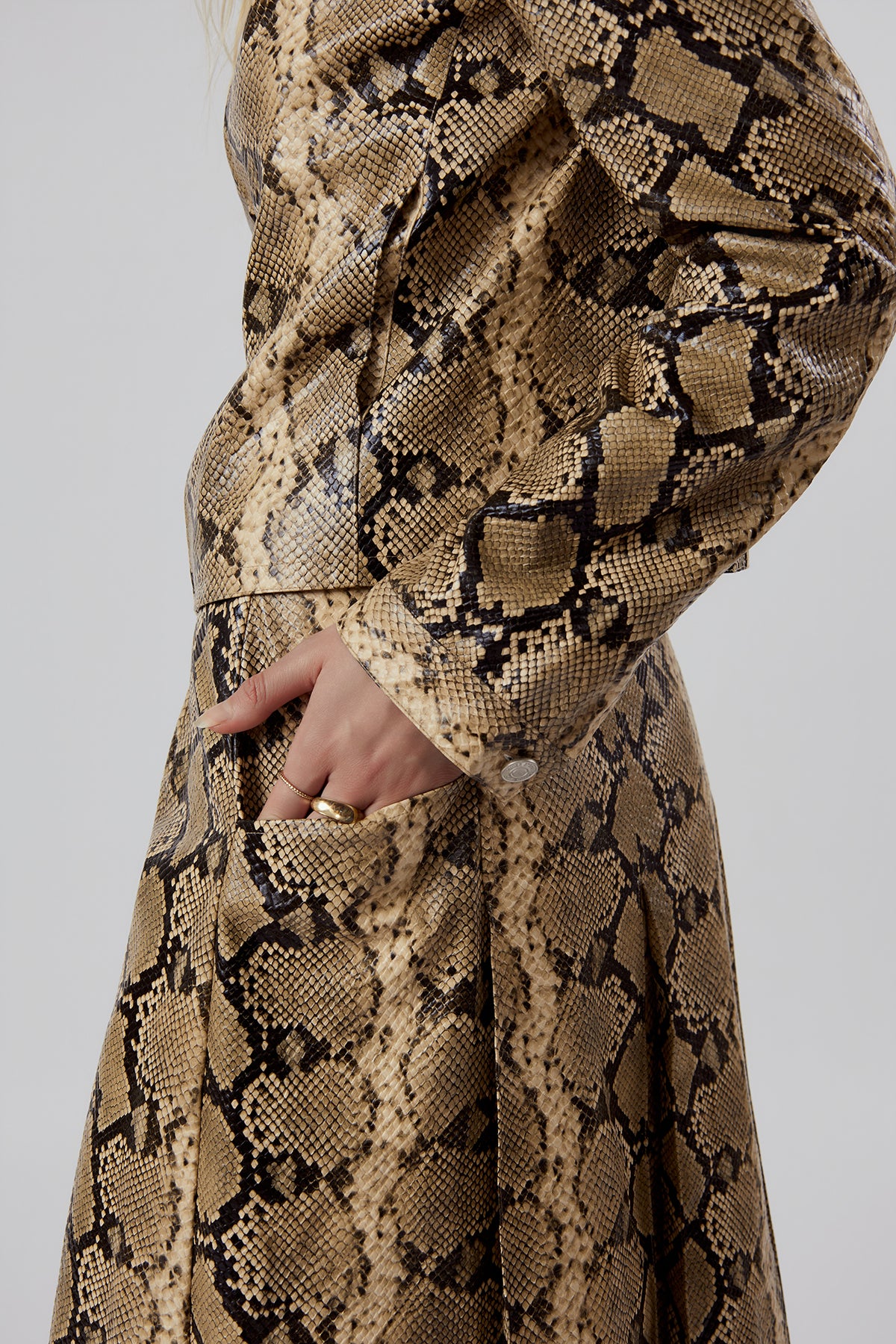 Other Store Sabine Python-Print Pleated Midi Skirt