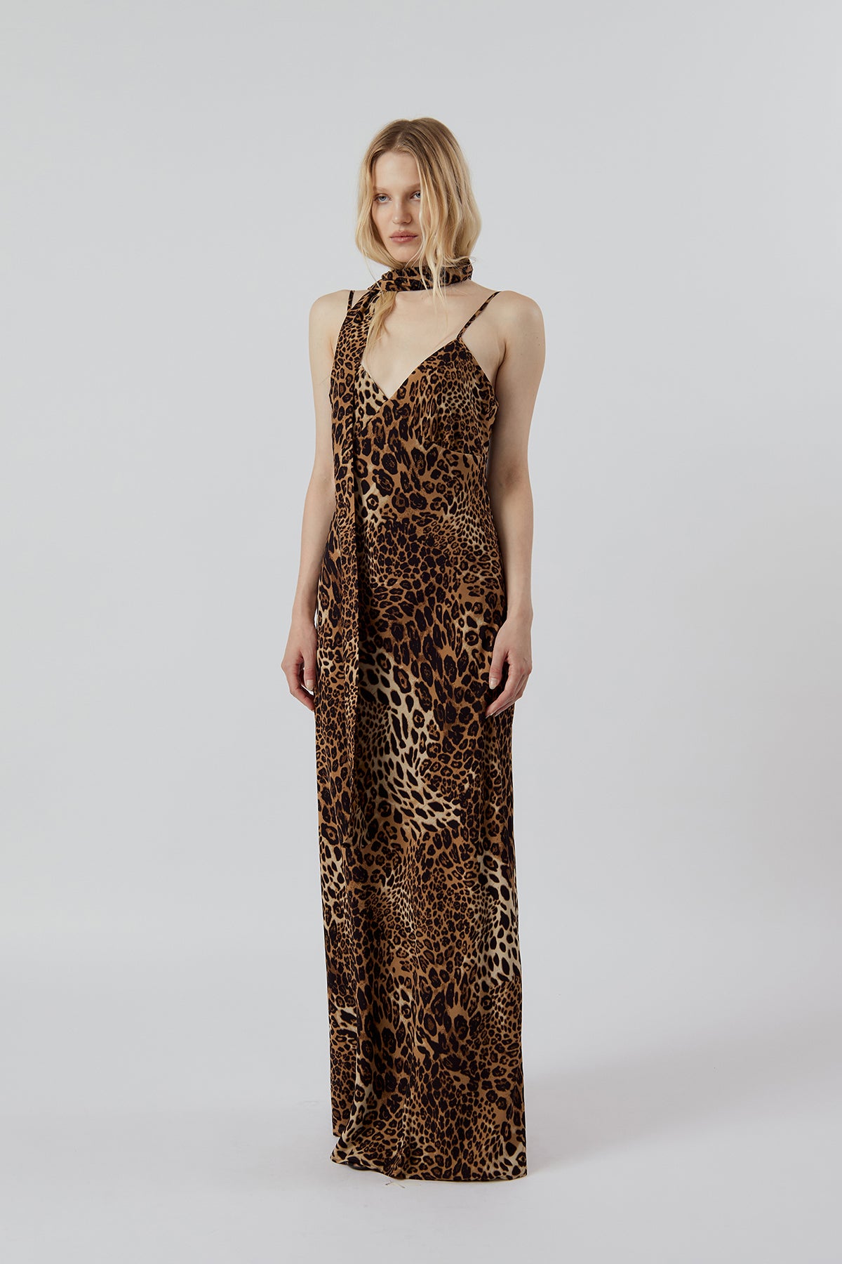 Other Store Savanna Slip Maxi Dress